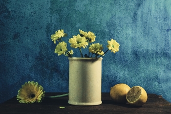 Gelbe Blumen / ***
