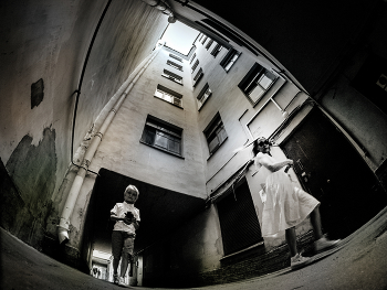 Courtyard / ***