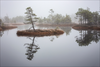 Floating Islands / ***