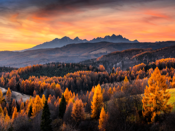 Autumn sunset / Autumn sunset in Slovakia with High Tatras in the background