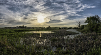 Pano Frühling / ***