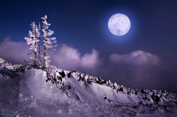 Mondlandschaft / ***