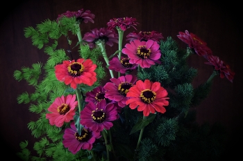 Flower pot art / Flowerpot with lights and shadows