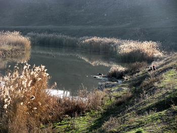 Am Ufer des Flusses ... / ***