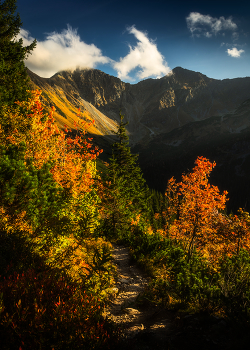 Autumn in the mountains / Autumn colors in the mountains (High Tatras in Slovakia)