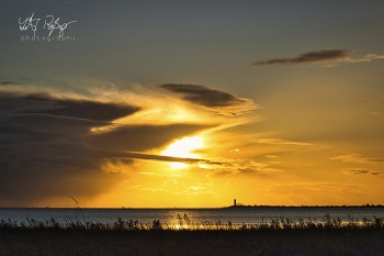 Wundervolle Welt... / Goldene Stimmung an der Nordsee.