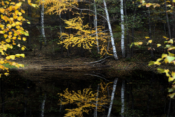 Herbstfischen / ***