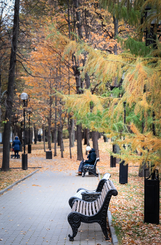 Im Herbst des Parks ... / ***