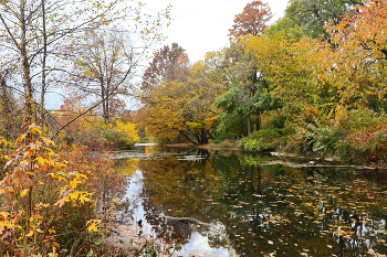 Herbst / ***