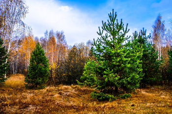 Herbstlandschaft. / ***