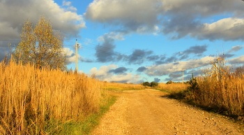 Herbstfarben / ***