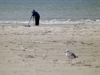 der Fotograf und die Möwe / am Strand der dänischen Nordsee