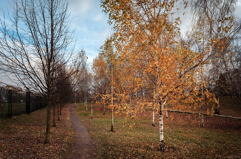 Im Herbst des Parks ... / ***