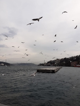 sea / bosphorus