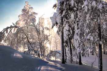 Winter-Nachmittag / ***