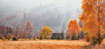 Sonnigen Herbsttag / ***