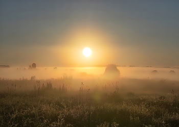 Morgendämmerung / ***