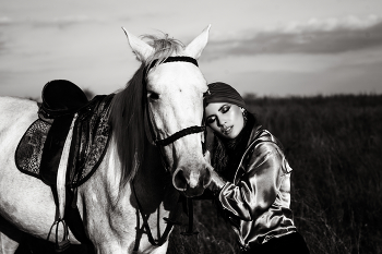 &nbsp; / horse in the wood