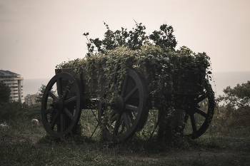 Wagen / ***