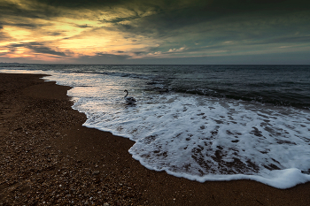 Abendstimmung am Meer / ***