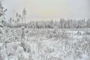 Nach Schneefall / ***