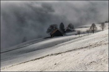 Im Nebel / Alpen