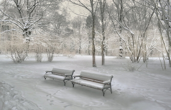 Nach Schneefall / ***