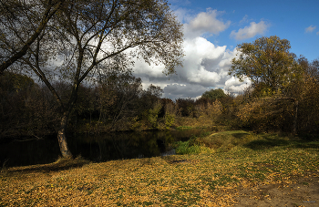 Herbststimmung ... / ...