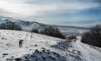 Winterwanderung / ***