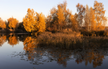 Goldener Herbst / ~~~