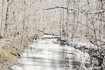 The Winter Scene / The Winter Scene, is captured at Cooper Creek Park after the Winter Storm of 2014, in Columbus, Georgia.