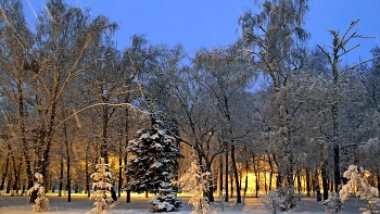 Winter / ***