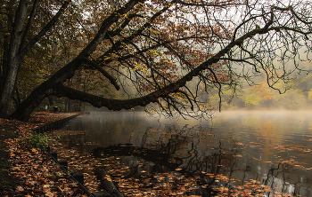 Im Herbst Park / ***