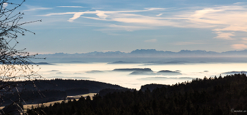 Nebel im Rheintal / Nebelmeer im Rheintal, im Hintergrund die Alpen