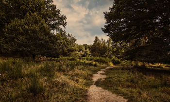 Auf dem Spaziergang / ***