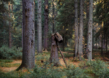 Herbst / ***