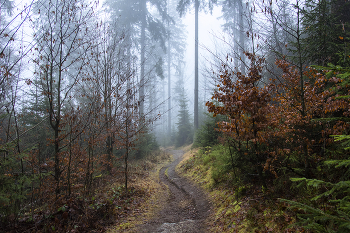 Herbstnebel. / ***