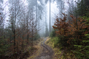 Herbstnebel. / ***