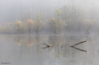 Stille / Nebel im Naturschutzgebiet