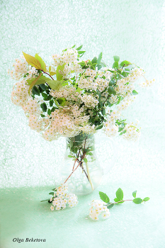 Spring Bouquet / ***