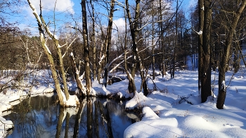 Frühling kommt! / ***