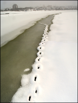 Footprints / ***