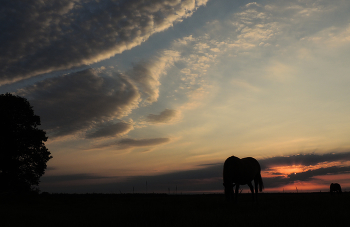 Abend auf dem Gebiet / ***