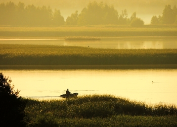 Morgennebel / ***