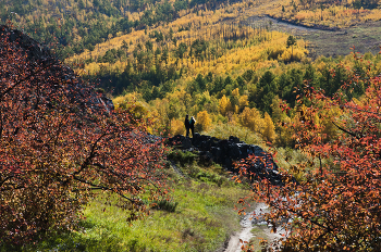 auf Herbst Hintergrund / ***