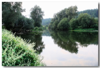 Nebel zerstreut / ***