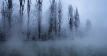 Der Nebel über dem Wasser / ***