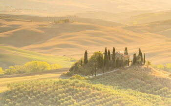 Toscana / Toscana