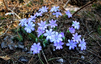 November / https://www.instagram.com/vaguro_v_u_v