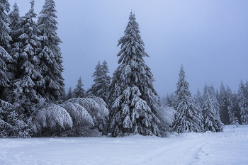 Winterabend. / ***